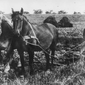 polder_historie_10-2